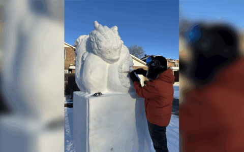 农历新年来临 蒙特利尔西岛华人 今年再有雪雕新作