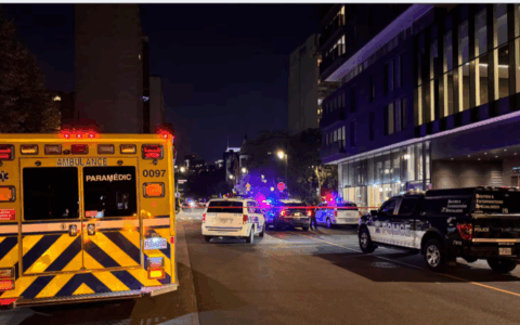 蒙特利尔市中心发生枪击案 一人受伤！西岛一名男子被树砸中身亡