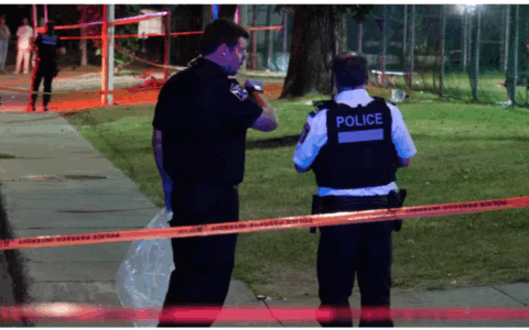 蒙特利尔公园发生刺伤事件 一人死亡 两人受伤