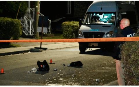 蒙特利尔女行人被撞身亡 肇事司机逃逸
