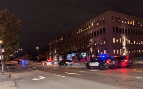 蒙特利尔街头男子被SUV撞倒 情况危急！南岸女行人被车撞后身亡