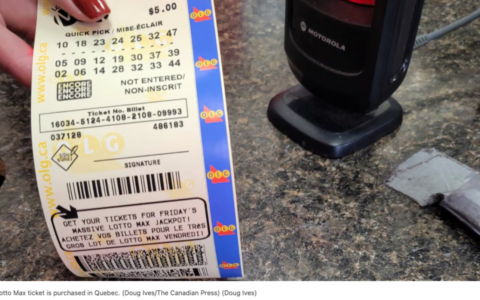 试试手气！下一期Lotto Max总奖金高达$1.23亿