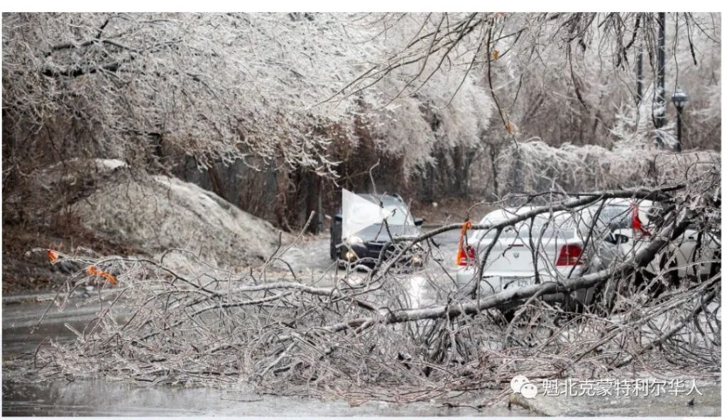 恶劣天气席卷魁省！蒙特利尔或遭“冰暴”重创…做好长时间停电准备