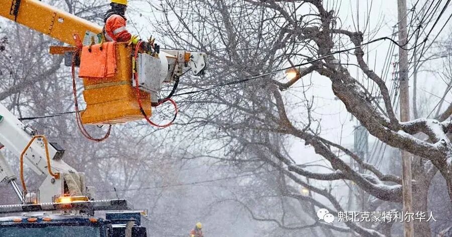 别出门！强冰暴来袭！蒙特利尔严阵以待 众多学校周三停课！如何自保