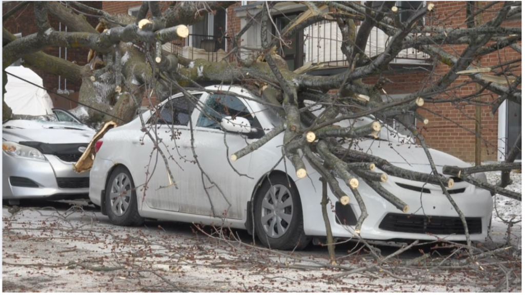 强风席卷魁省 数十万户家庭停电 学校停课