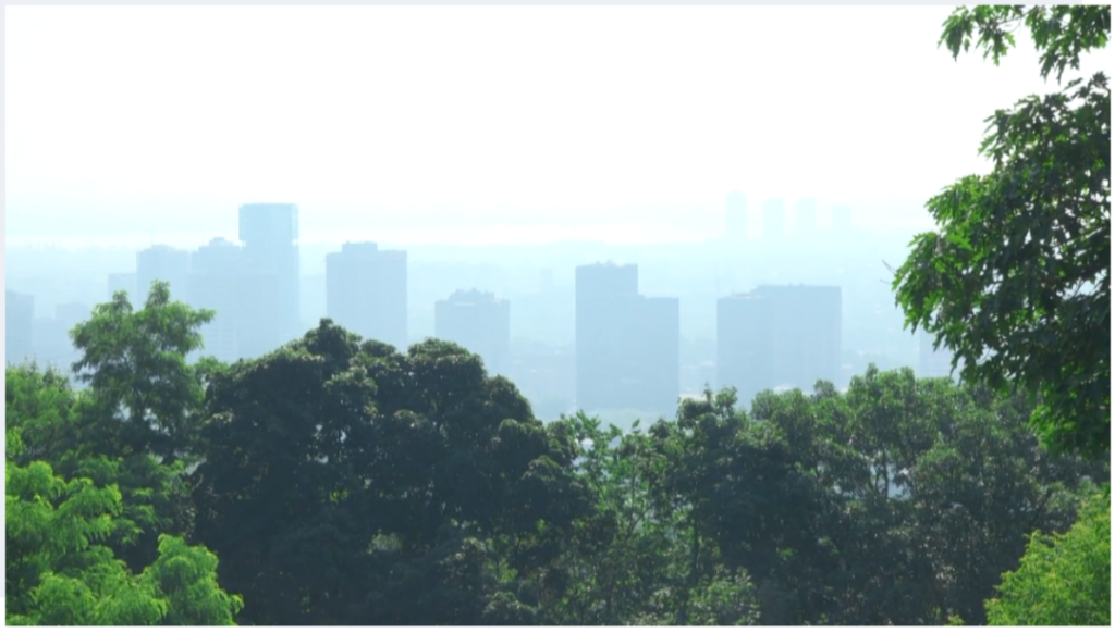 今夏不好过！魁省南部可能出现极端天气