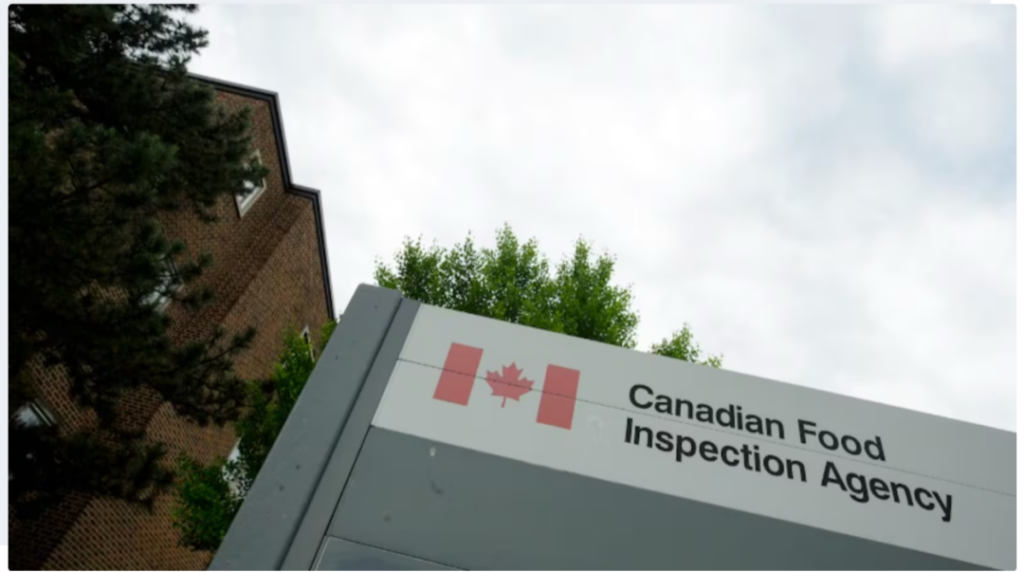 注意！这些蛋制品正在被召回 魁省和安省有售