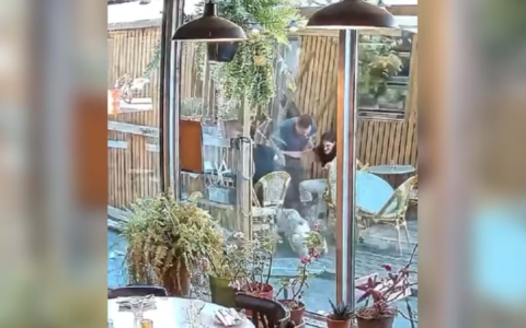 一辆大巴冲进蒙特利尔一家餐厅露台  撞击非常猛烈